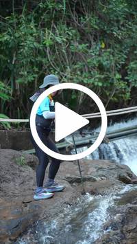 BIB:  <button type="button" onclick="openModal(27684807)" class="btn btn-primary btn-sm float-right" data-toggle="modal" data-target=".modal-high-quality">
                <i class="fa fa-download"></i> Download
                </button>